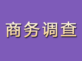 蝶山商务调查